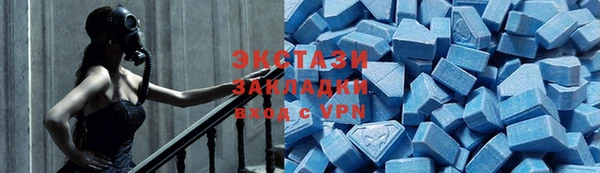 эйфоретик Гусь-Хрустальный