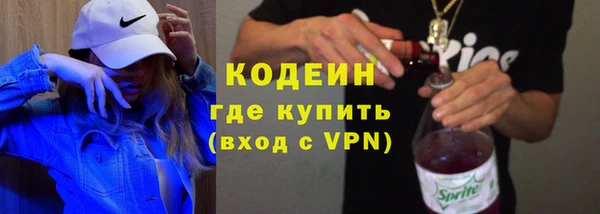 эйфоретик Гусь-Хрустальный