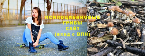 индика Покровск