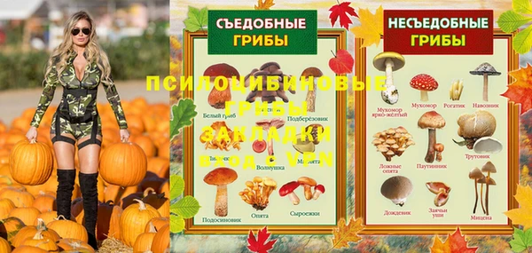 метамфетамин Гусев