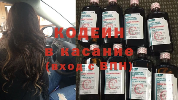 эйфоретик Гусь-Хрустальный