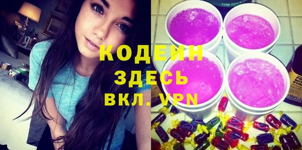 эйфоретик Гусь-Хрустальный