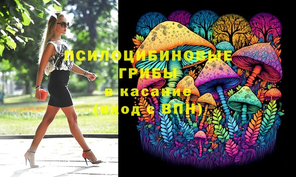 эйфоретик Гусь-Хрустальный